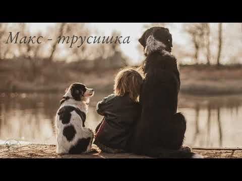 Обложка записи «Макс — трусишка»